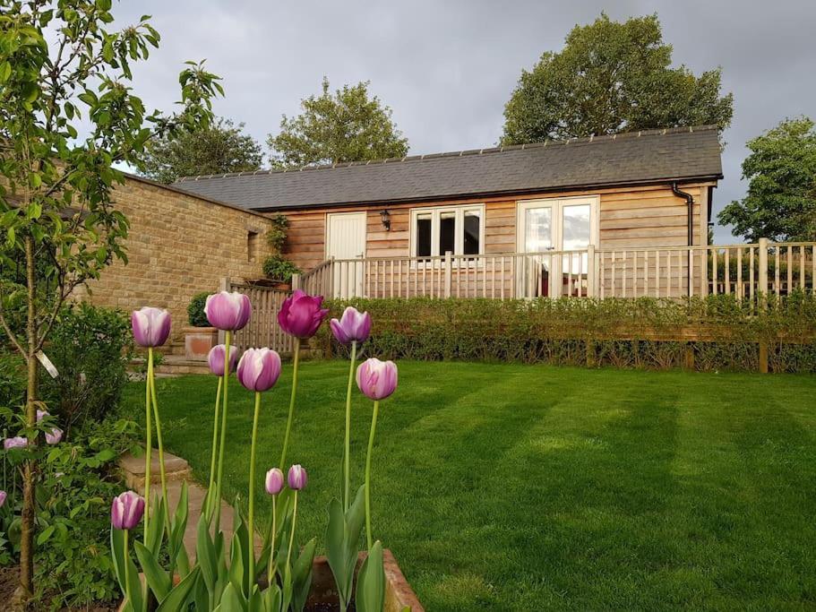 Charming Cottage Surrounded By Idyllic Garden In Peaceful Location In Central تشارلبوري المظهر الخارجي الصورة